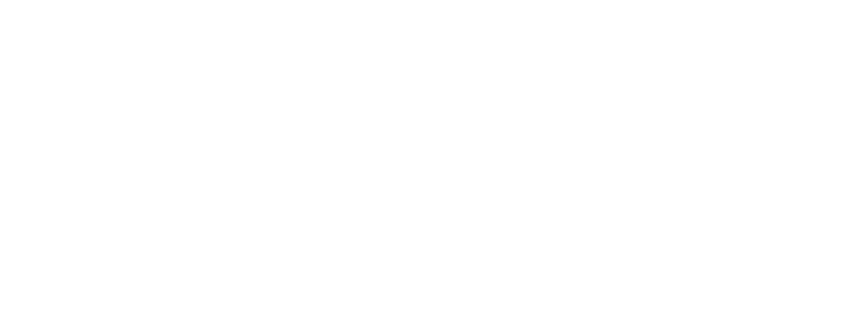 Ledreflection_logo_white